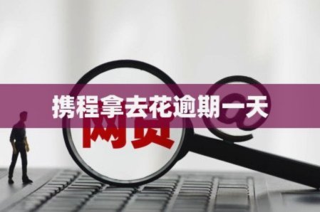 最近携程拿去花怎么不能用